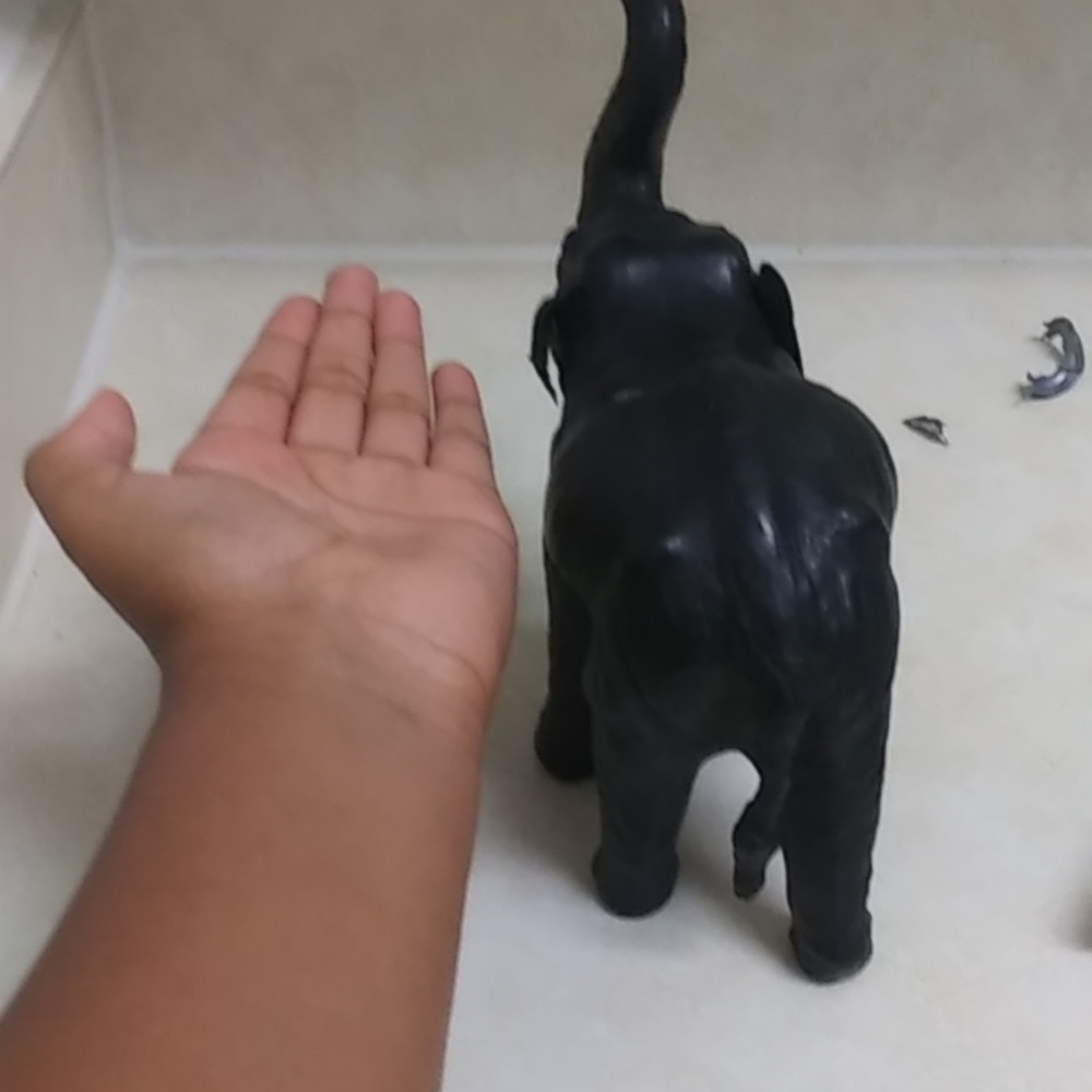 Elephant - Picture 3 of 4